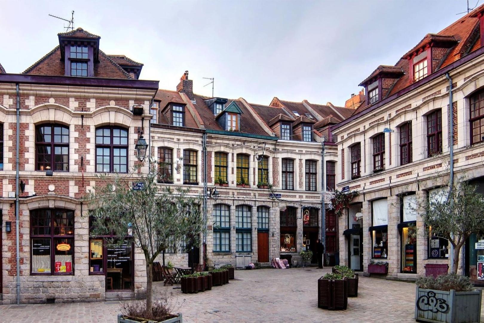 Apartment Centre - Nice, Cozy And Functional Lille
